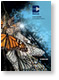 Bidvest Annual report 2011